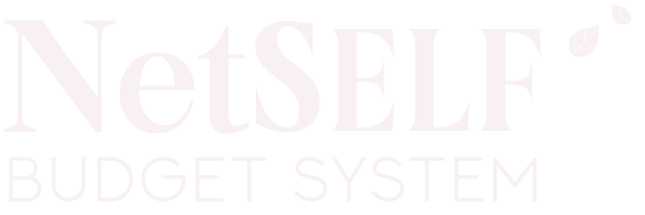 NetSelf Budget System