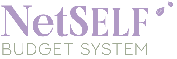NetSelf Budget System